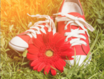 tennis shoes and a daisy on the grass - how to describe happiness in writing
