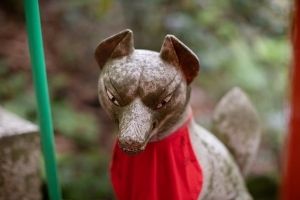 wooden statue of a kitsune (fox) at a Japanese shrine