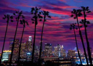 The Pain and Joy of Moving to a New City #los angeles #kansas city #advice for moving to a new city