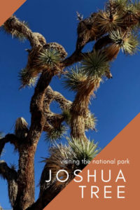 Day Trips From Los Angeles: Joshua Tree National Park #travel tips #where to stay #california