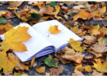 open journal with autumn leaves
