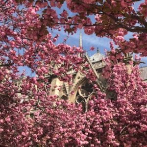 Notre Dame before the fire