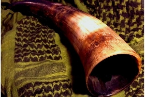 a Norse drinking horn on a fabric patterned with Norse symbols