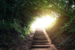 stone steps leading up to sunlight