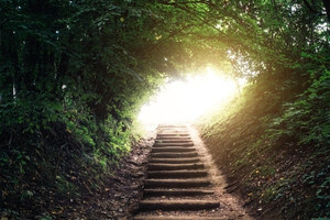 How to Get Out of a Rut: 50 Ideas!