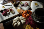 book, pumpkins, leaves