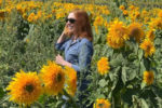 Bryn Donovan in sunflower field