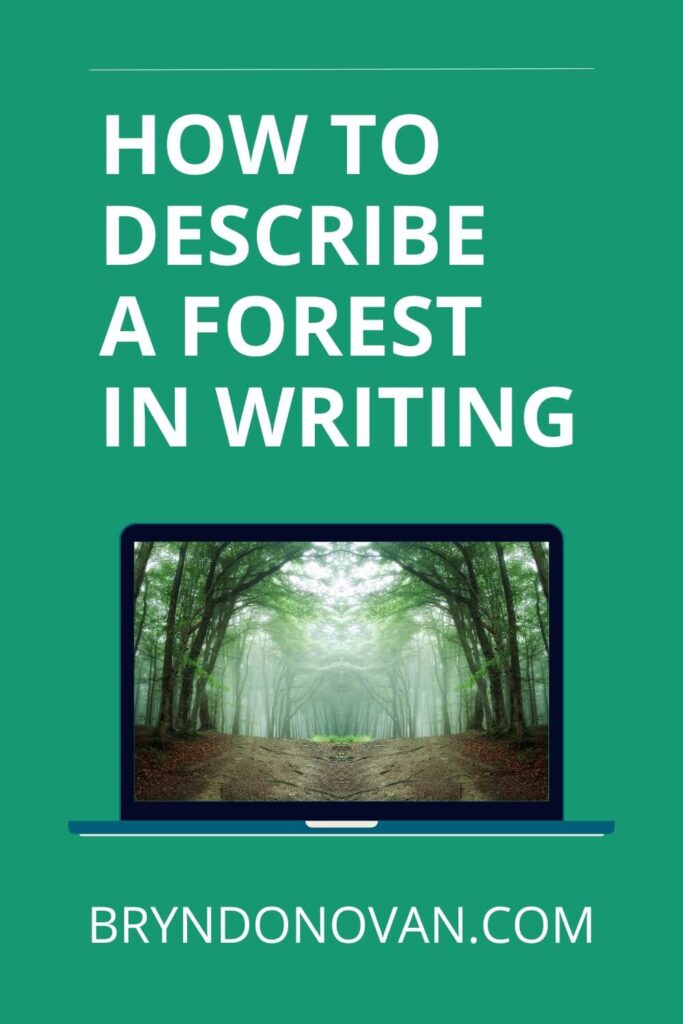How to Describe a Forest in Writing