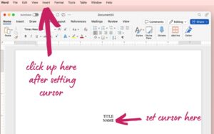 How to Number Pages in your Book in Microsoft Word - Title Page