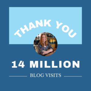 picture of smiling author Bryn Donovan with laptop at cafe, and the message, Thank you 14 million blog visits