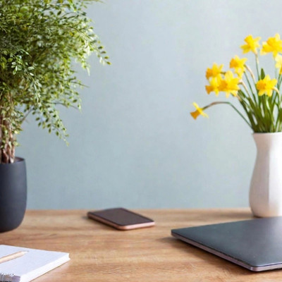daffodils in vase, plant, journals
