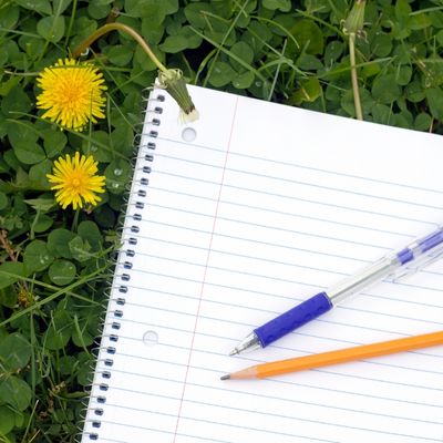 notebook on grass, dandelions