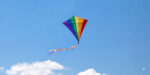 kite in a summer sky