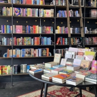 little bean books, antioch, IL