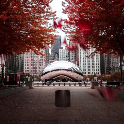 “The Bean” sculpture in downtown Chicago, with trees in the fall
