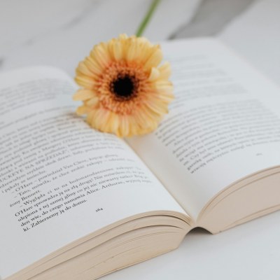 open book with cheerful gerbera daisy - why reading books is important