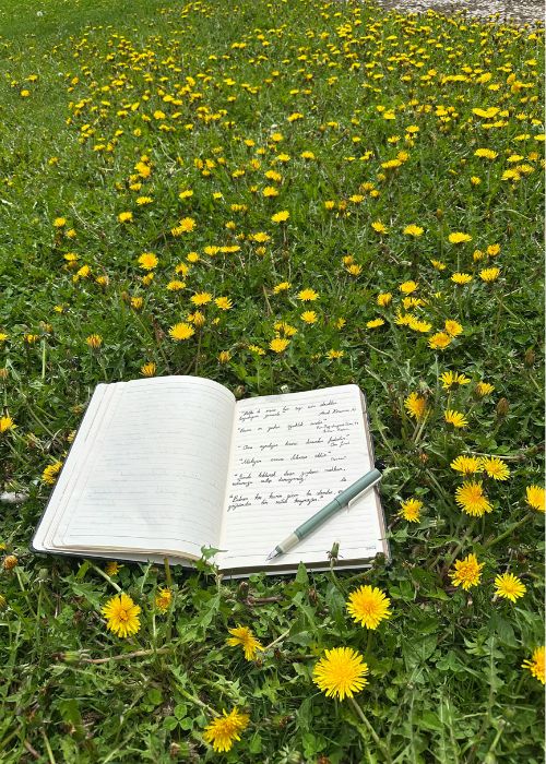 journal and pen in field of dandelions - writing dialogue
