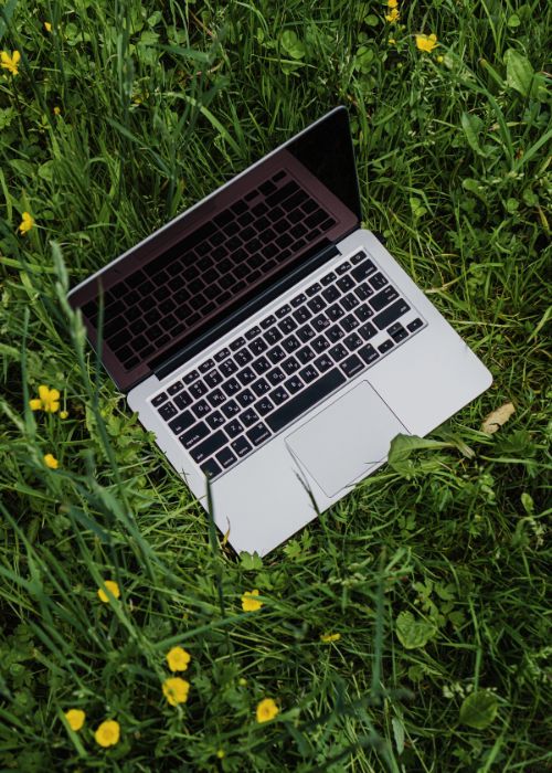 laptop amid grass and flowers - writing dialogue