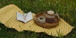 picnic blanket on grass, tea, book