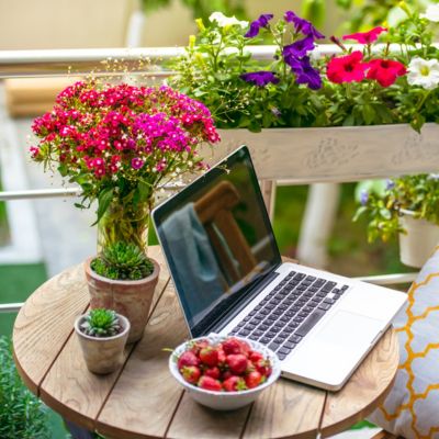 laptop on table on outdoor deck with flowers, strawberries
